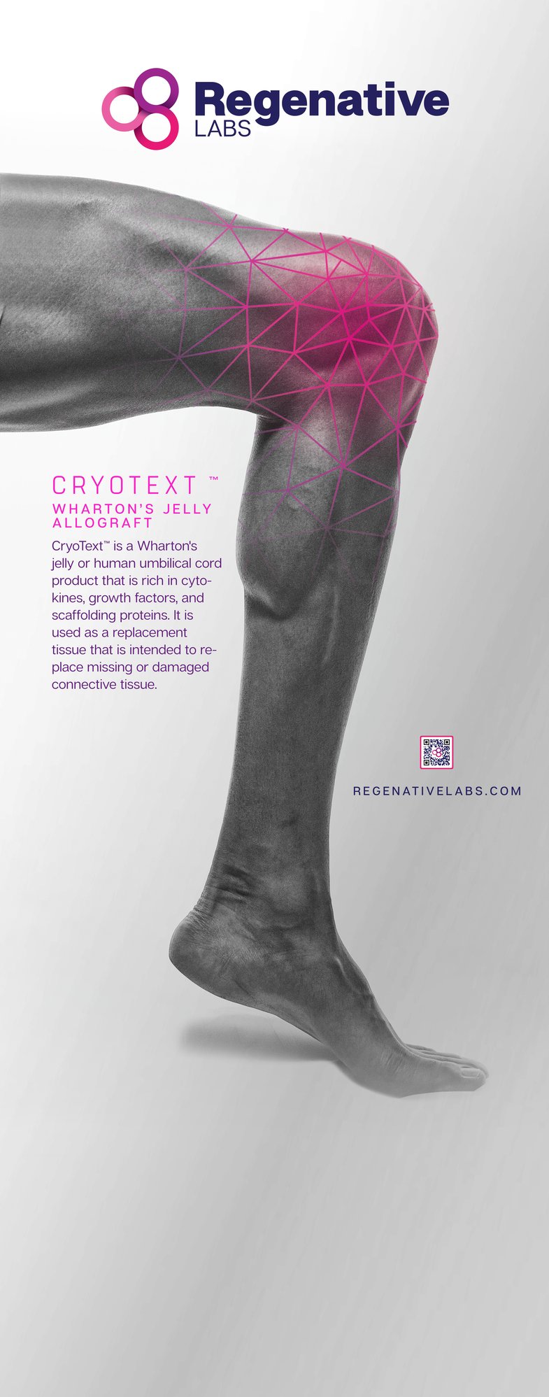 RGL-24-09-CodedProduct_Displayit_Reveal_Banner_Stand_33_5_Table_Top_Vinyl_Graphic_Template-2 copy RGL-24-09-CodedProduct_Displayit_Reveal_Banner_Stand_33_5_Table_Top_Vinyl_Graphic_Template-2 copy